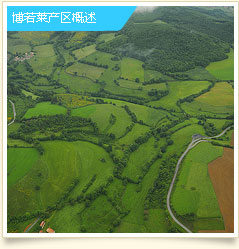 博若莱产区概述