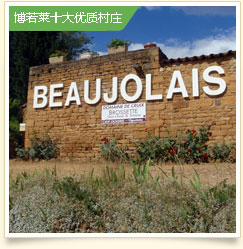 博若莱十大优质村庄